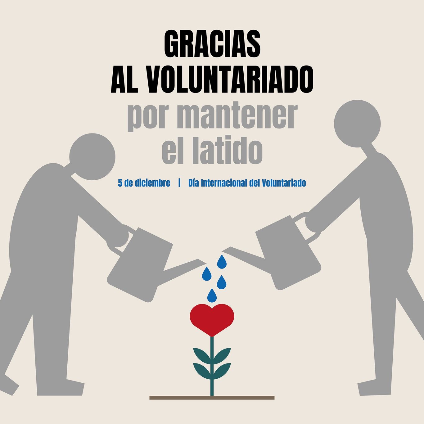 Diseño que promueve la participación social