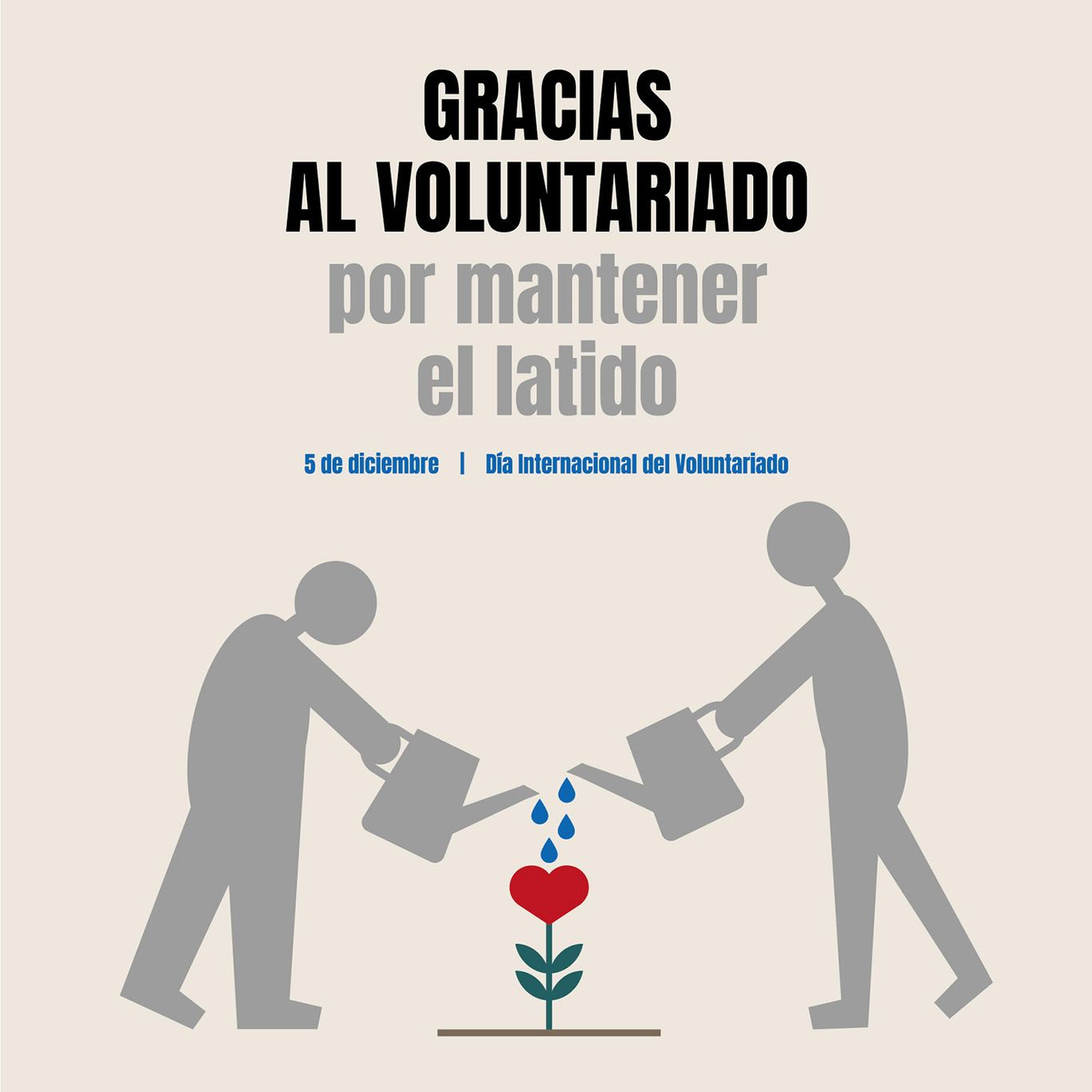 Diseño que promueve la participación social